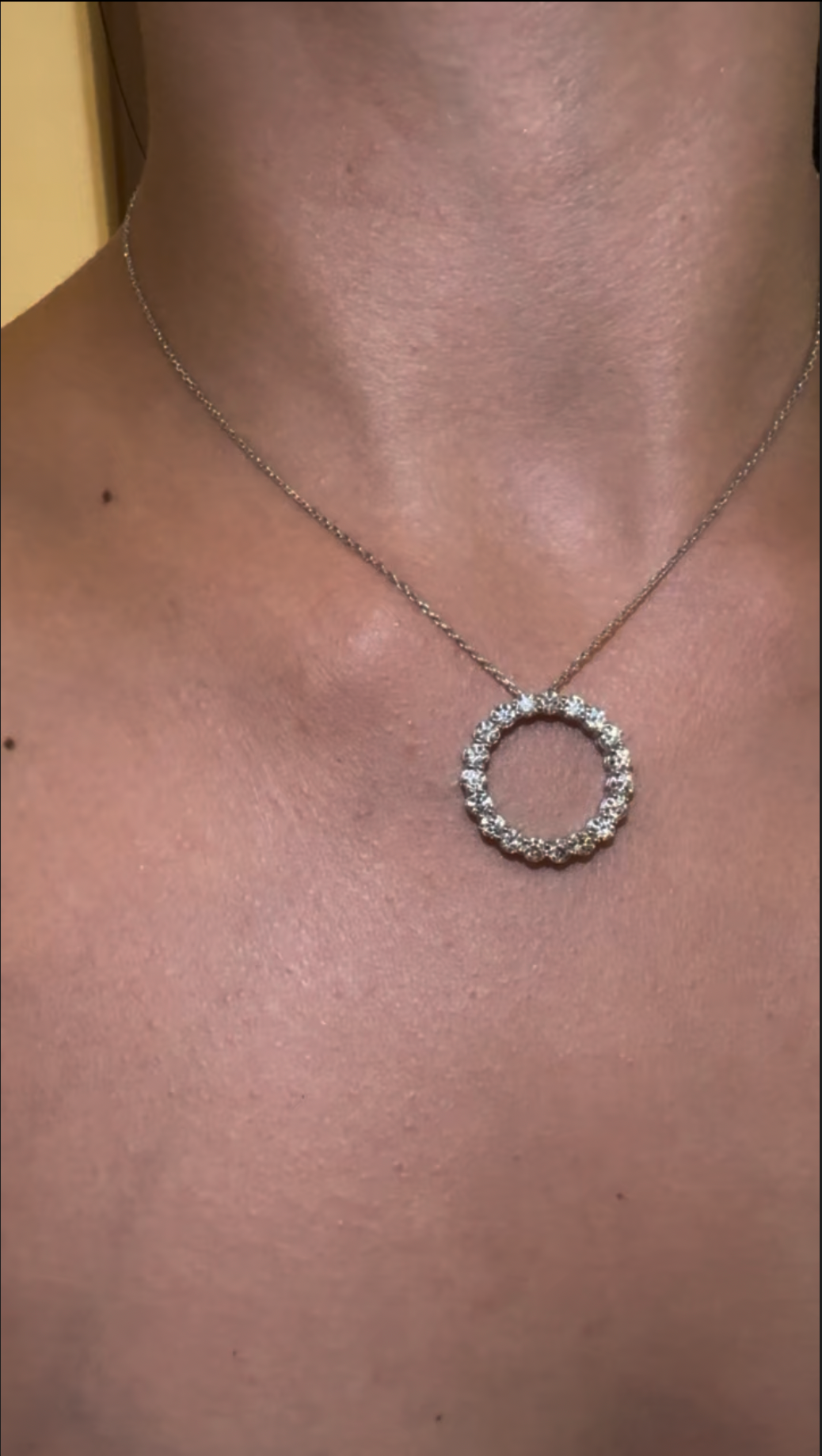 The Medici Sofia Diamond Circle Necklace (2.4ct)