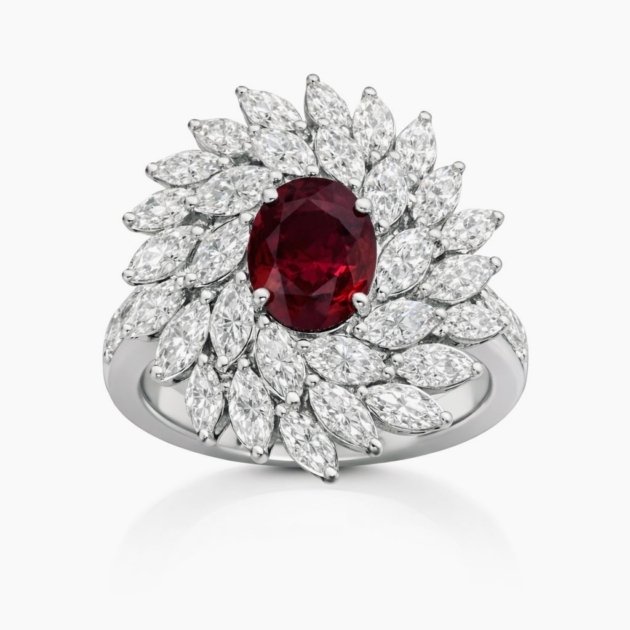 The Marvelous Ruby Ring